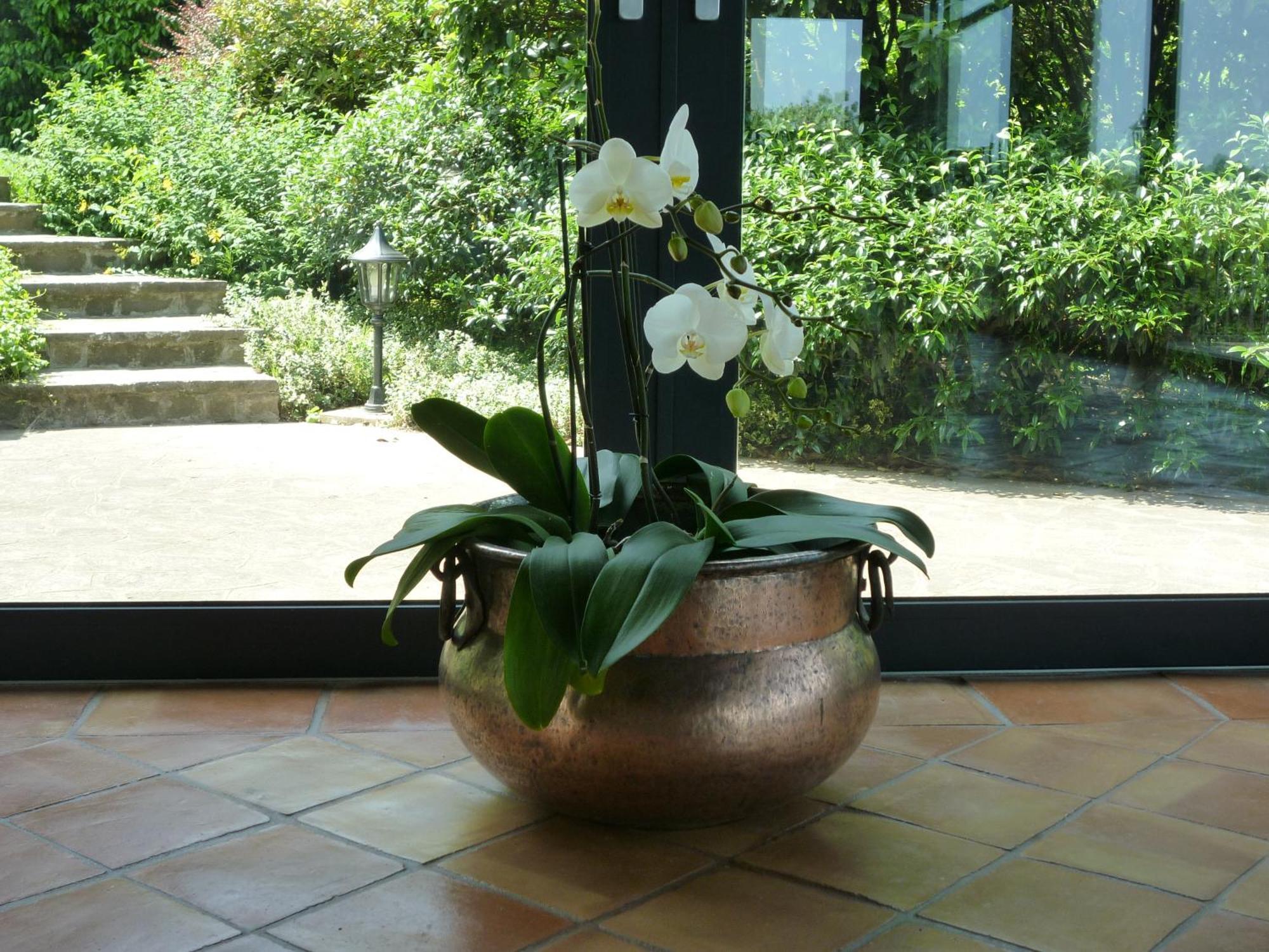 Country House Barone D'Asolo Εξωτερικό φωτογραφία
